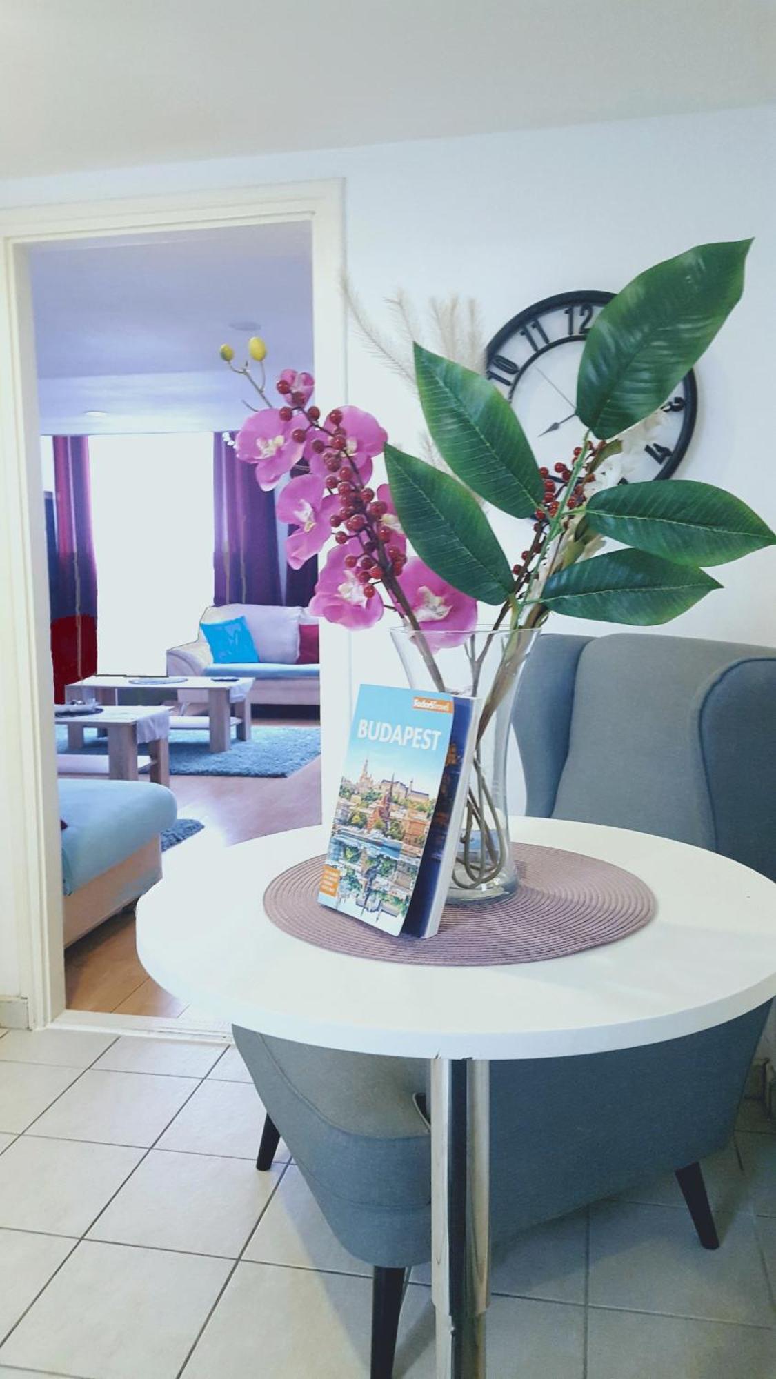 Downtown Acacia Str Apartment Budapest Extérieur photo